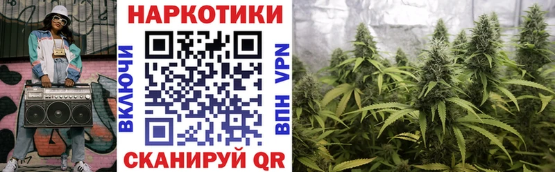 Виды наркоты Нижний Тагил Гашиш  гидра онион  АМФ  Меф  КОКАИН  Марихуана 