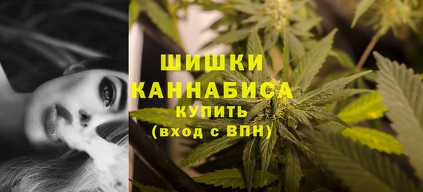 гашик Козельск