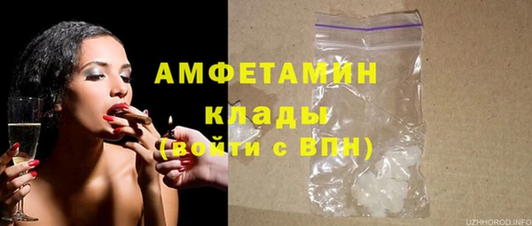 дурь Бородино