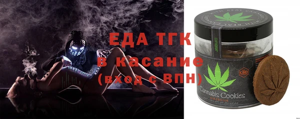 гашик Козельск