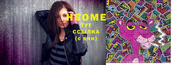 гашик Козельск