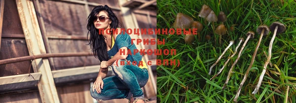 скорость Козловка