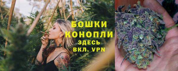 a pvp Корсаков