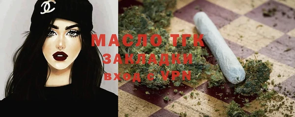 гашик Козельск