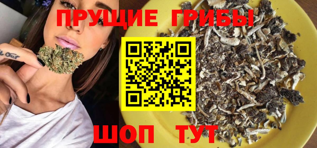 Галлюциногенные грибы ЛСД Нижний Тагил