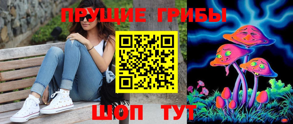 Псилоцибиновые грибы MAGIC MUSHROOMS  Вход с VPN  Нижний Тагил  Псилоцибиновые грибы прущие грибы 